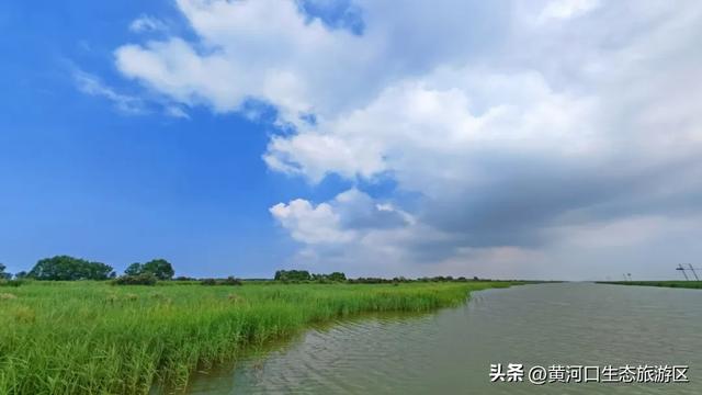 黄河口七夕漫游指南：与你赴一场湿地飞鸟与落日的浪漫之约