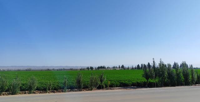 北疆行⑰——逛乌鲁木齐大巴扎