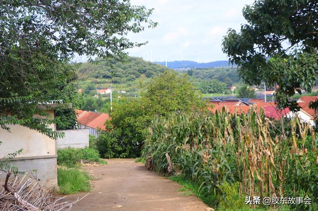 组图：牟平观水镇留格庄村掠影，桃威铁路从该村经过