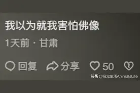 原来大家恐惧的东西这么冷门，评论区大开眼界，这些东西吓人吗？图片