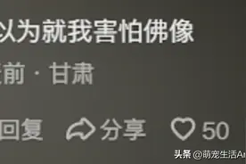 原来大家恐惧的东西这么冷门，评论区大开眼界，这些东西吓人吗？图片