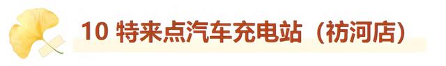 最适合拍银杏的地方！ 临沂十个0元打卡点，抓住今年最后的金色风暴！