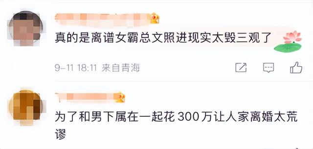 女老板看上男下属 豪掷300万助其离婚