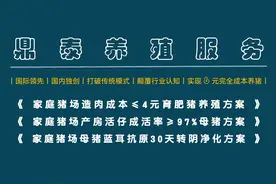 2024年家庭猪场到底怎么干才能确保100%赚钱（三）图片