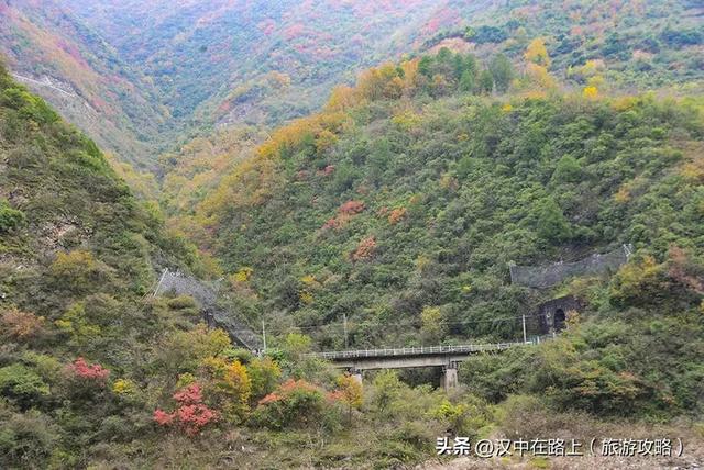 汉中出发沿嘉陵江跨省自驾,把秦巴深秋的美景装进车窗~图片