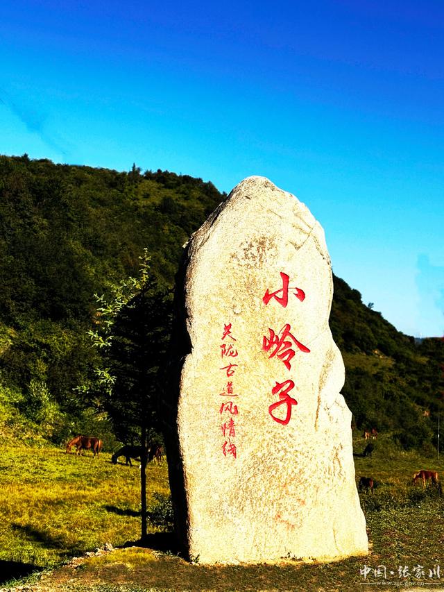 张家川县闫家乡秋日山间的鎏金时光