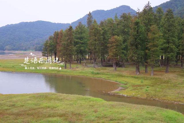 宁波这个新“阿泰勒”火了，游客络绎不绝，每人看了都会惊叹一声