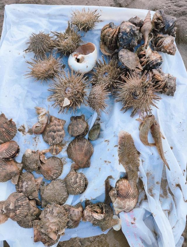 厦门可以赶海的6个地点推荐，环东滨海浪漫线和黄厝沙滩榜单有名