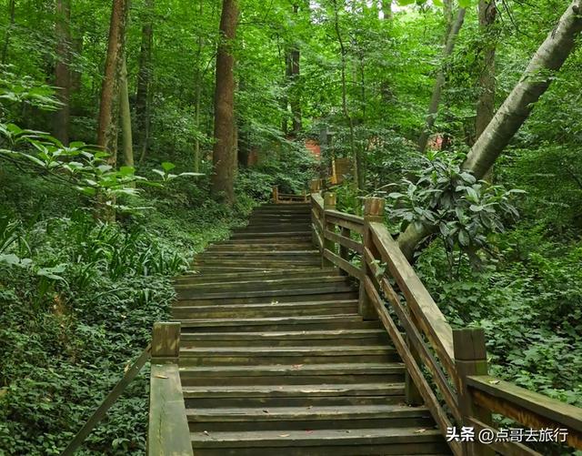 成都难得的清凉徒步胜地，在都江堰隔壁，不要门票，超级凉爽。