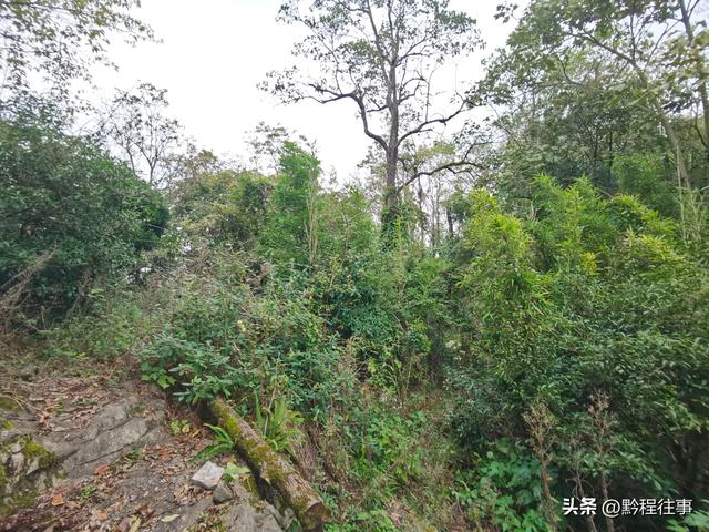 偏远乡野中寻找一个古寺遗址，探险一个深邃溶洞