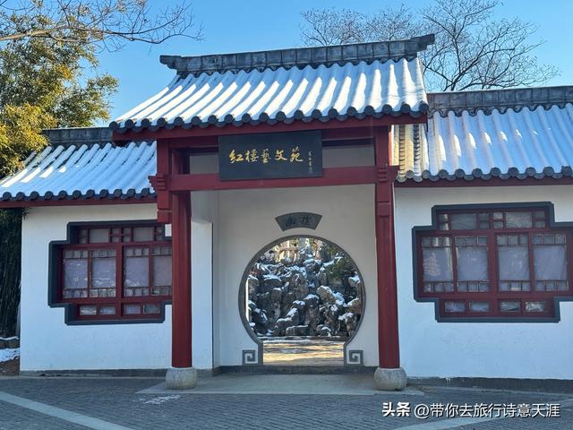 南京2026年第一场雪，梅花山、琵琶湖雪景