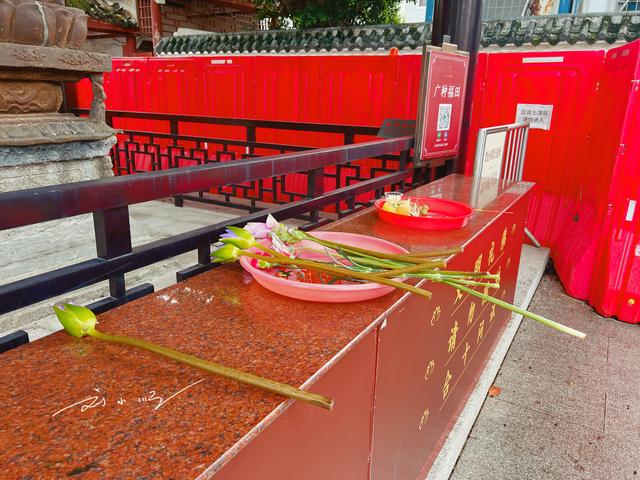 广州这座著名寺庙“好特别”：访客不能烧香，都用鲜花来献佛？
