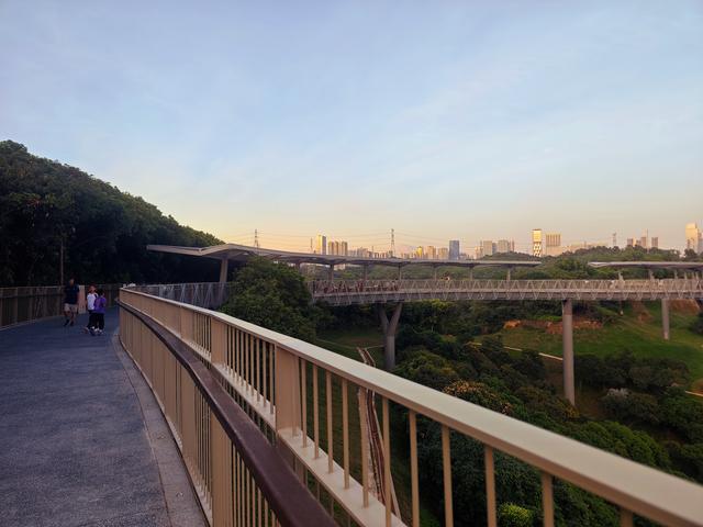 西丽湖国际科教城绿道，看霞飞满天，如梦似幻！长岭陂地铁C口