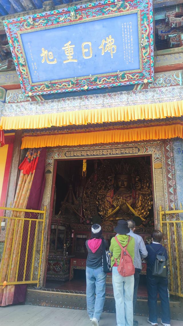 藏传佛教格鲁派四大寺院之一，西宁塔尔寺，碰巧免费进去了
