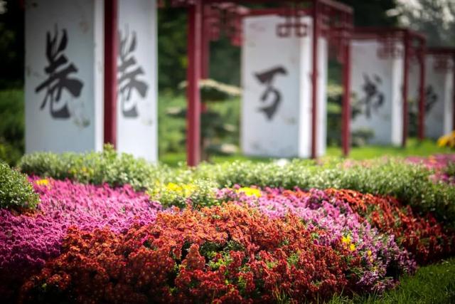 走出“浪浪山”，遇见丰台“山外世界”的N种可能——