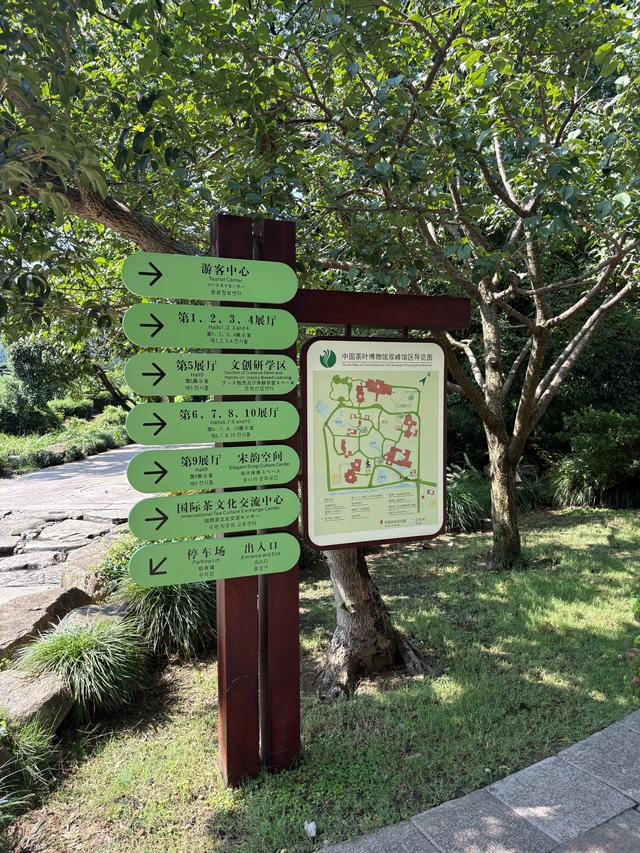 杭州小众游玩路线,茶叶博物馆和浙江美术馆半日游,建议收藏