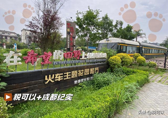 到温江幸福田园郊游，看乡村湿地美景，火车主题餐厅让人怀旧