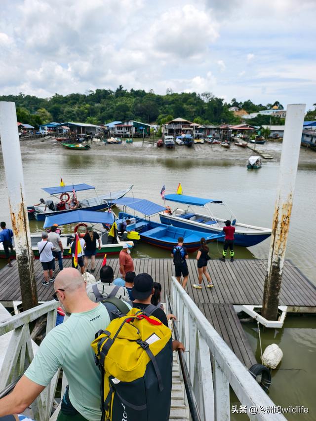 马来西亚(35)砂拉越州⑨峇哥国家公园徒步线路