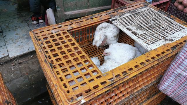 西班牙安达卢西亚风格：摩洛哥的得土安（北非三国游/摩9）