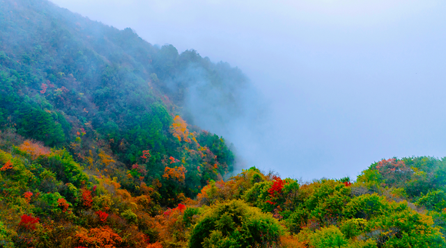 错过等一年！巴山大峡谷秋色刚开场，彩林已美成仙境！