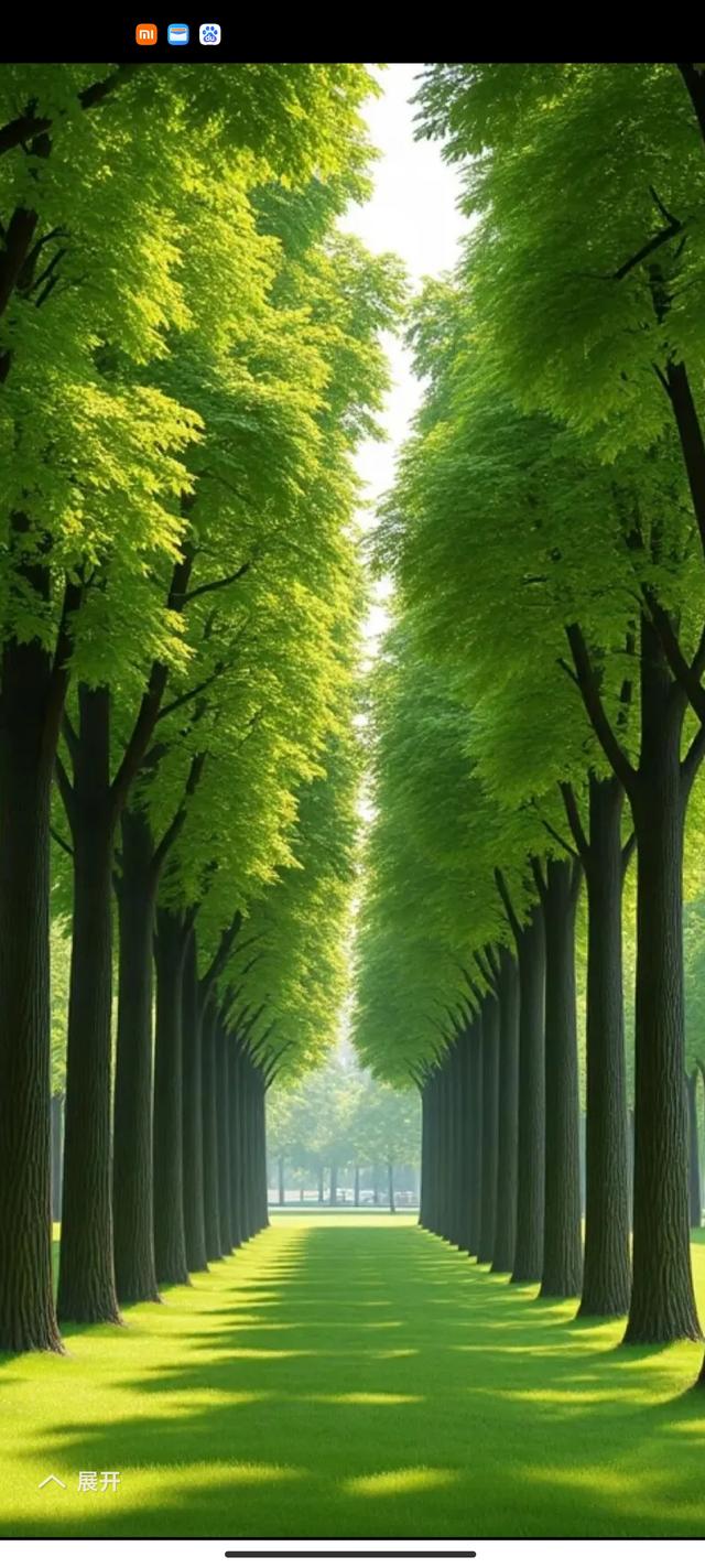 缁胯壊鎶ょ溂澹佺焊缇庡浘