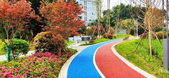 发现·公园城市 | 家门口的这些绿色空间“老少皆宜”