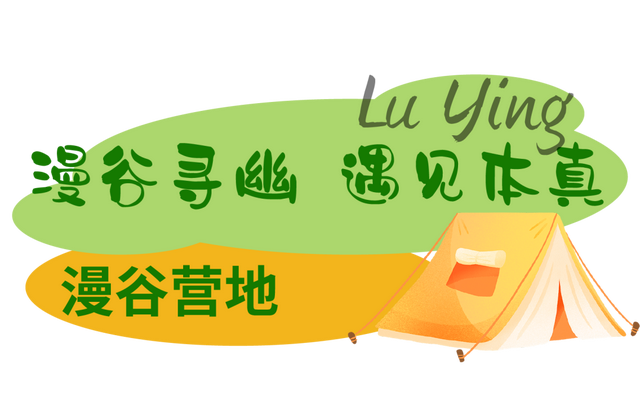 府城漫步丨太原一日游攻略——在迎泽的山野间躺“营”！