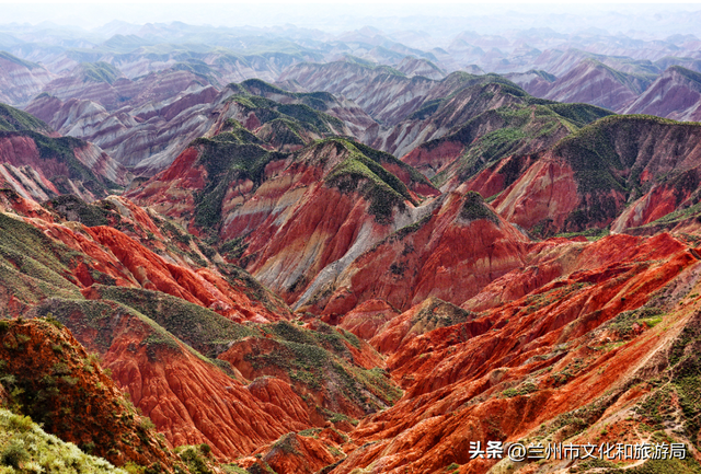 讲好金城故事，绽放讲解华彩~首届 “兰州水墨丹霞杯” 讲解员服务技能竞赛报名启动！