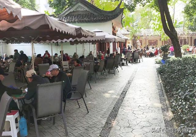 成都必去的六大坝坝茶，充满市井烟火，成都人私藏，地铁公交可达