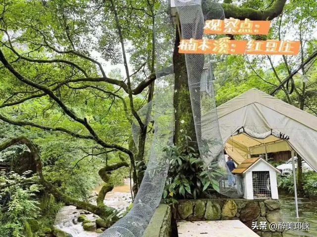 10月4日，在天台后山·松鼠乐园与“林间精灵”共赴一场山野之约！
