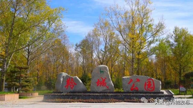 邂逅羚城之秋：高原小城描绘金色画卷