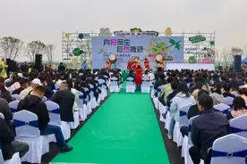 咸安：百公里油菜花带引爆花海乡愁图片