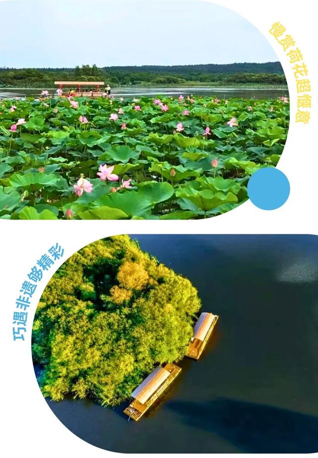 夜游模式开启！来净月解锁夏夜的隐藏玩法！