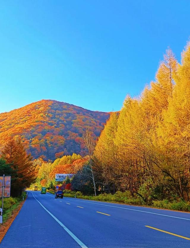 中国最美秋景在东北！7条秋日自驾线路，承包斑斓秋色与边境风光