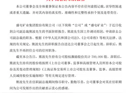 熊波辞去副总裁一职图片