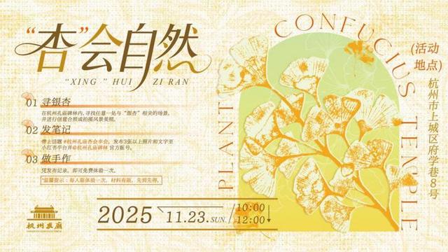 杭州孔庙碑林银杏季启幕，推出多项文化体验活动邀市民共赏“金色盛宴”