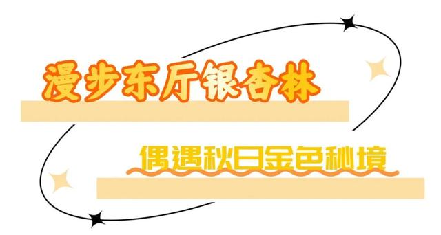 玩转秋天！烟台好玩程度超出想象！