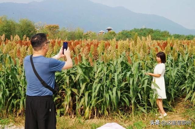 这里是鄂州最High的地方！