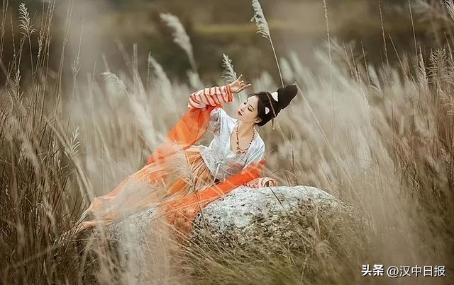 汉中第二届芦苇季即将开始！