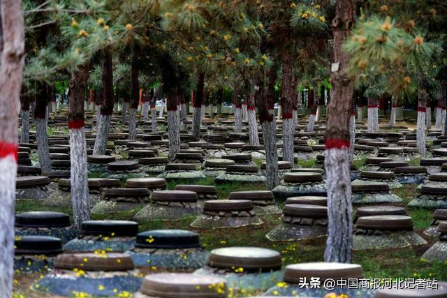 全国重点文物保护单位刘伶醉烧锅遗址：赴一场跨越千年的文化之约