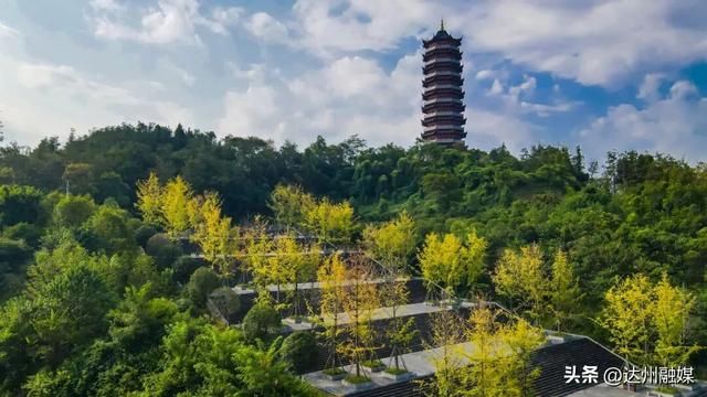 玩转渠县|银杏帽的风，终于吹到了渠县文峰山！