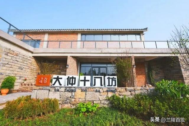 好客山东好品山东｜快来→大仲村镇青年小店邀您来打卡了！