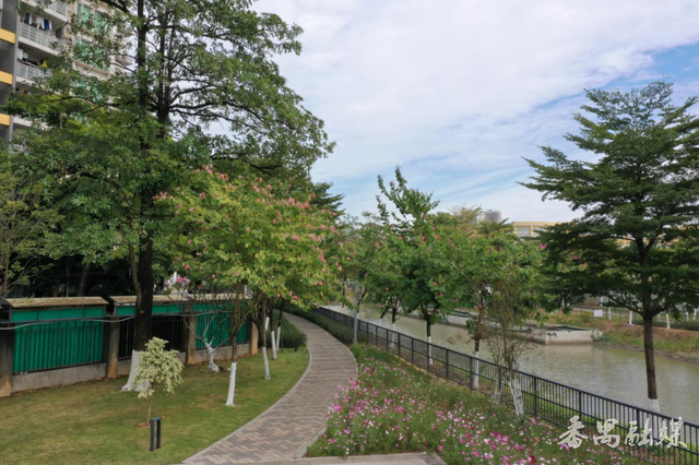 番禺区桥南桥景滨水公园：焕新生态活力 家门口的儿童友好乐园