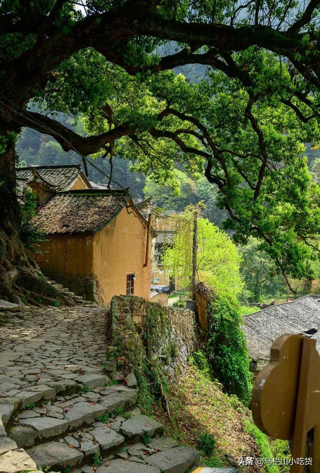 浙江旅游，打卡松阳|藏在浙南的小众秘境美景！