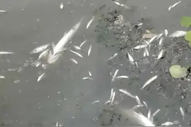 打12345政府热线到底有用还是没用？图片