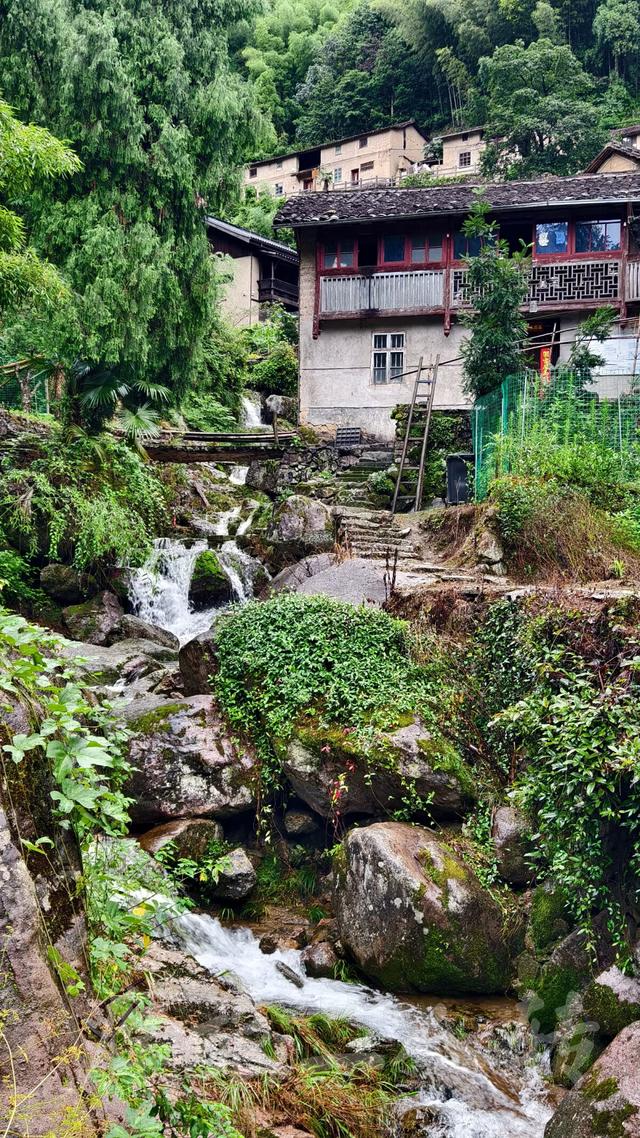 皖浙摩旅二人转——松阳横坑村篇（下）