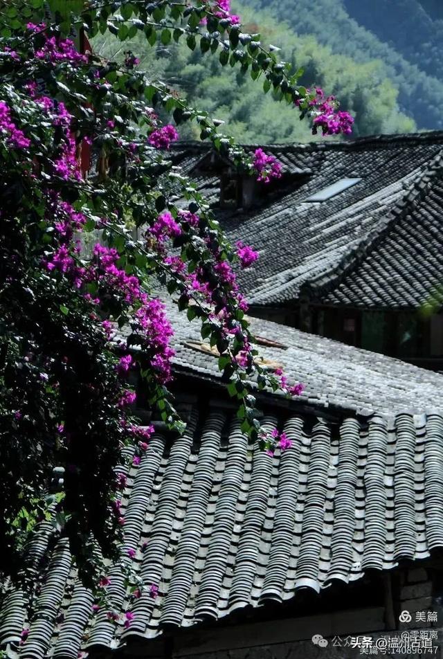 醉美林坑晒秋!这条连接两个避世古村落的省一级古道,周末可走起