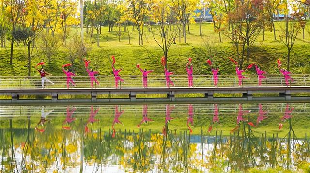 冬日限定浪漫！垫江三合湖层林尽染，治愈感拉满~