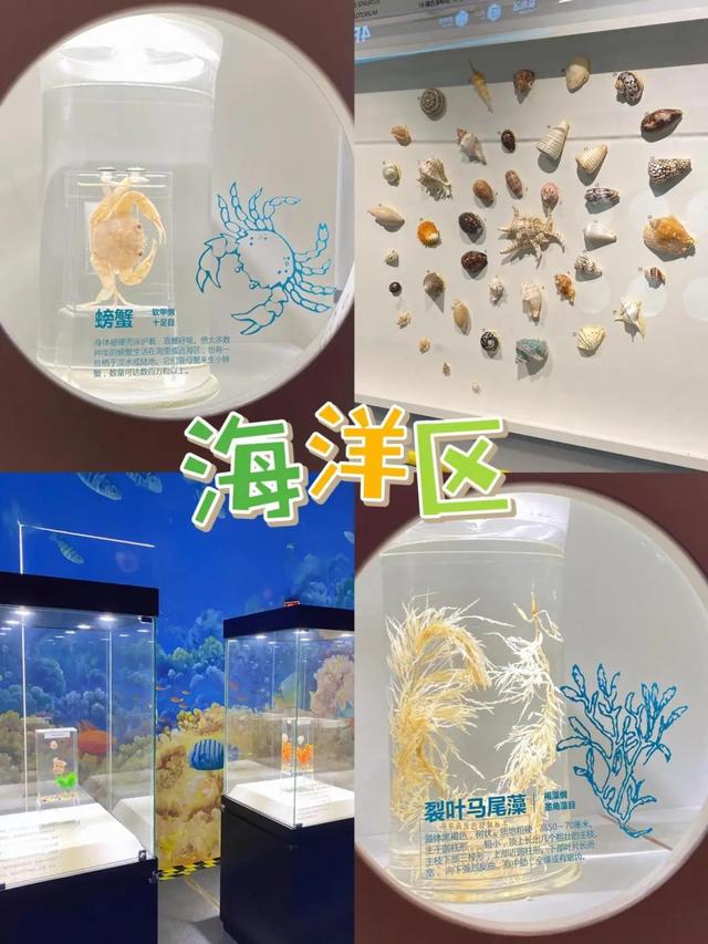 青岛市第一高楼的浪漫，坐拥城市至高视点……