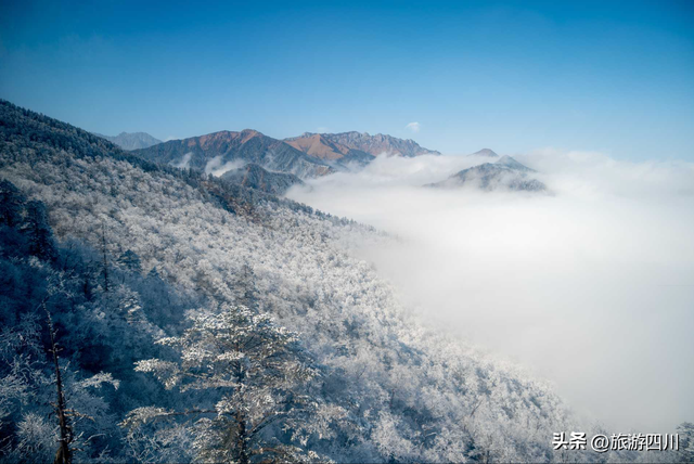 国潮涌动西岭，科技点亮冰雪，2025成都市冬季文旅消费季暨第26届西岭雪山南国冰雪季打造虚实结合的诗意盛宴